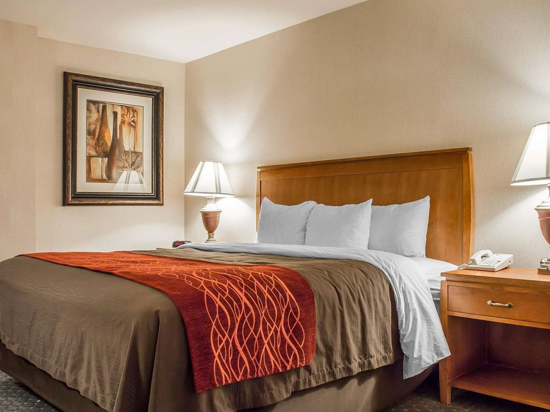 Comfort Inn & Suites Thatcher - Safford主图