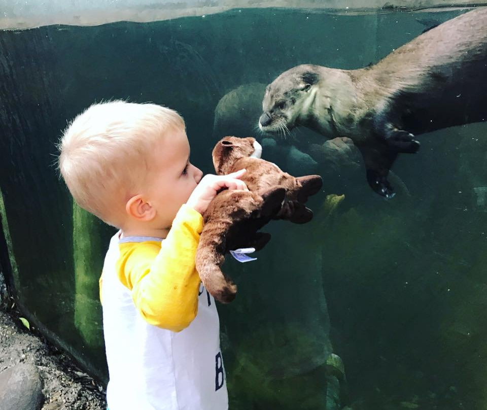 Palm Beach Zoo & Conservation Society景点图片