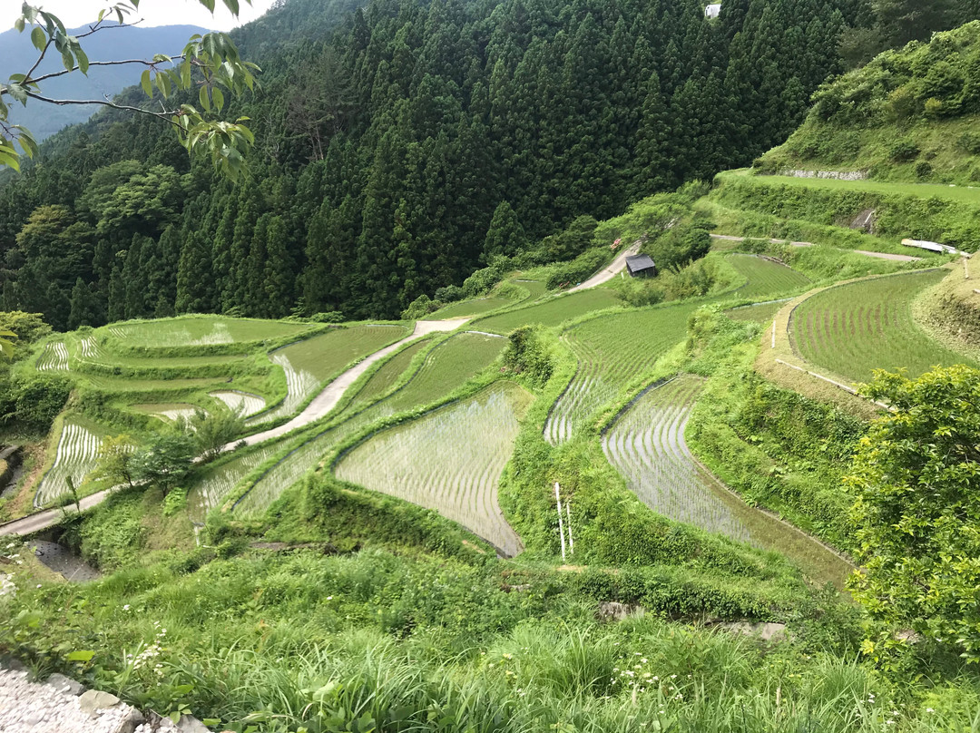Kashihara Rice Terraces-上胜町必去景点