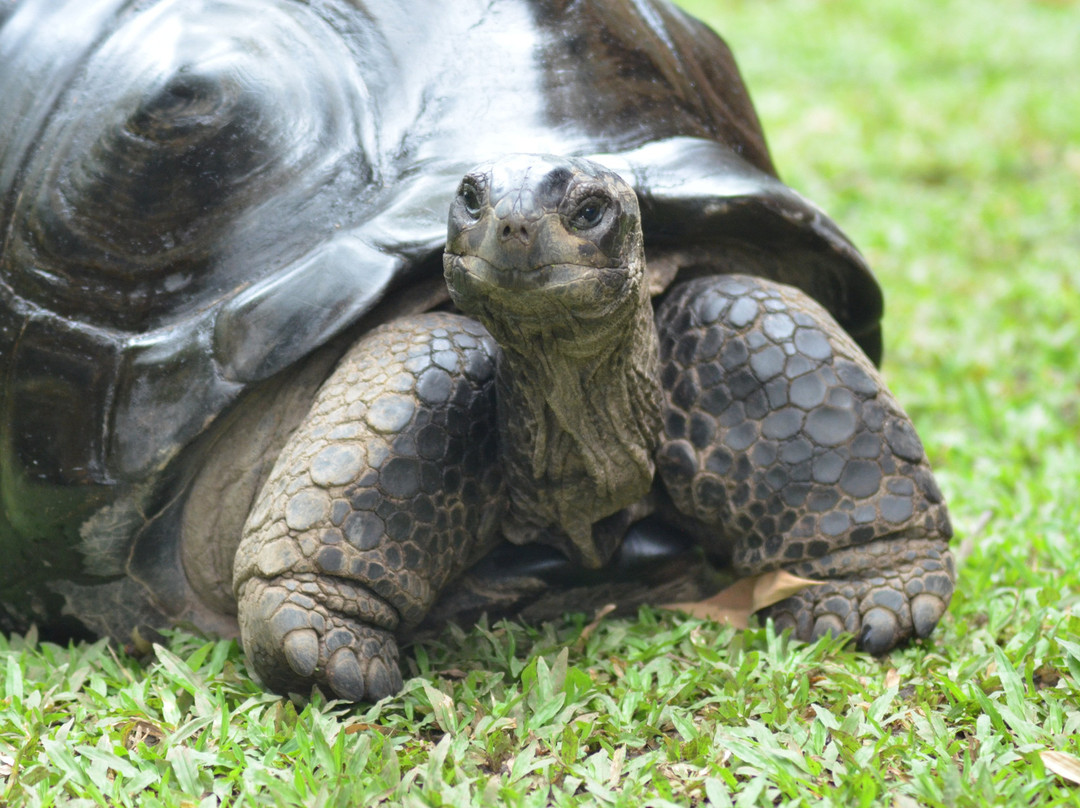 Jardin Exótico Kamala-佩雷拉必去景点
