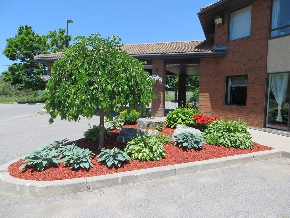 Comfort Inn Cobourg主图