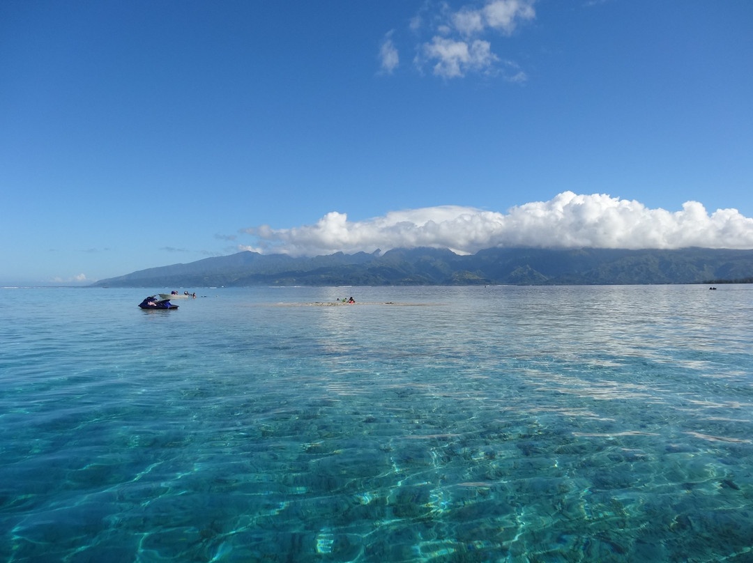 Tahiti iti Excursions景点图片