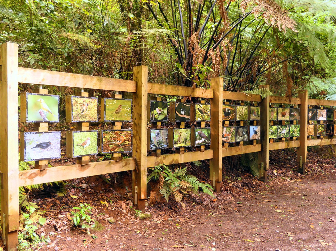 Maungakawa Scenic Reserve景点图片