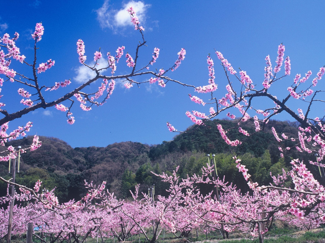 Tomomien-赤磐市必去景点