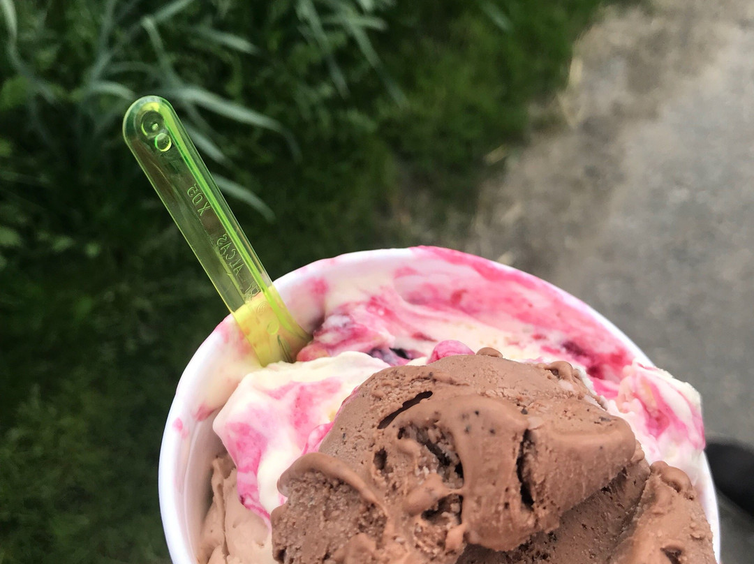 Our Cow Molly Dairy Farm & Ice Cream Shop-谢菲尔德必去景点