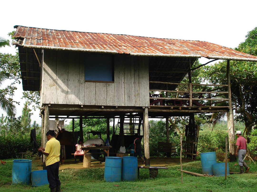 Jaguares Cabins