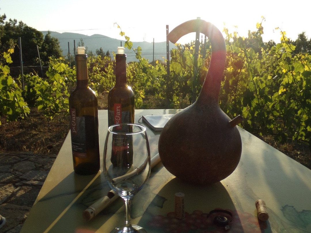 Dolihi Tours-Ikaria必去景点