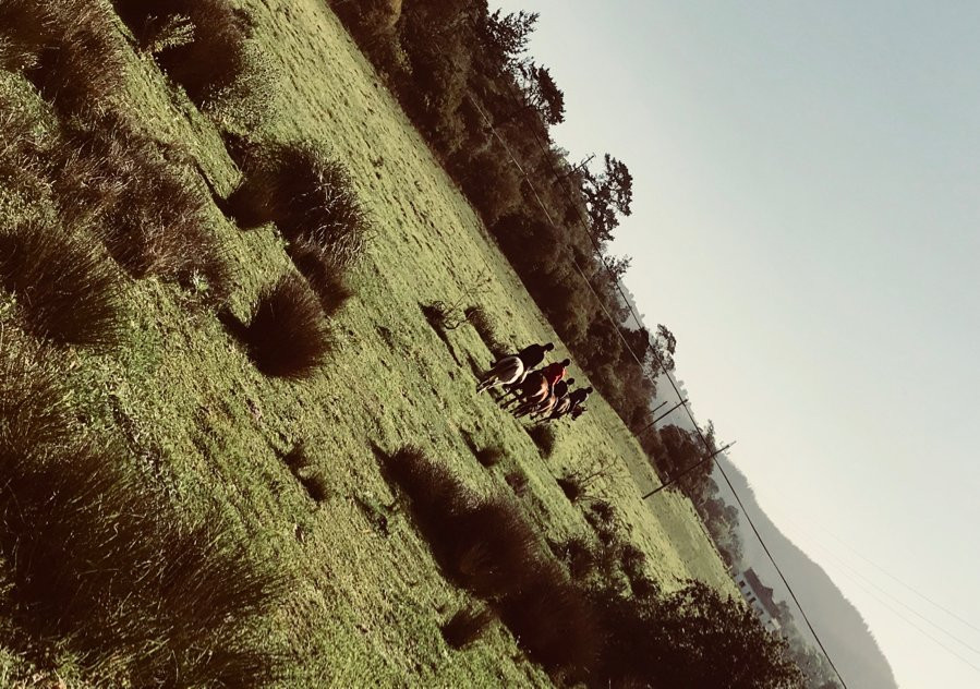 Boschrivier Farm & Stables-Wittedrift必去景点