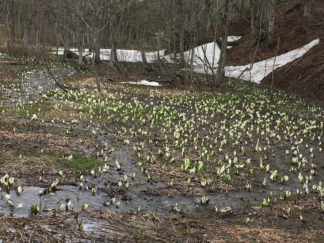 Okususobana Natural Garden-长野县必去景点