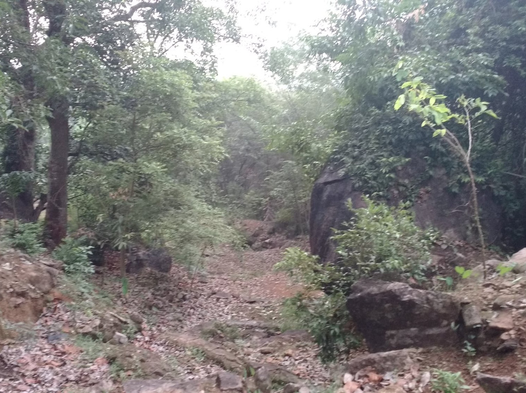 Kallil Devi Temple景点图片