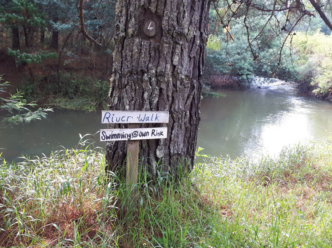 Zwakala River Retreat主图