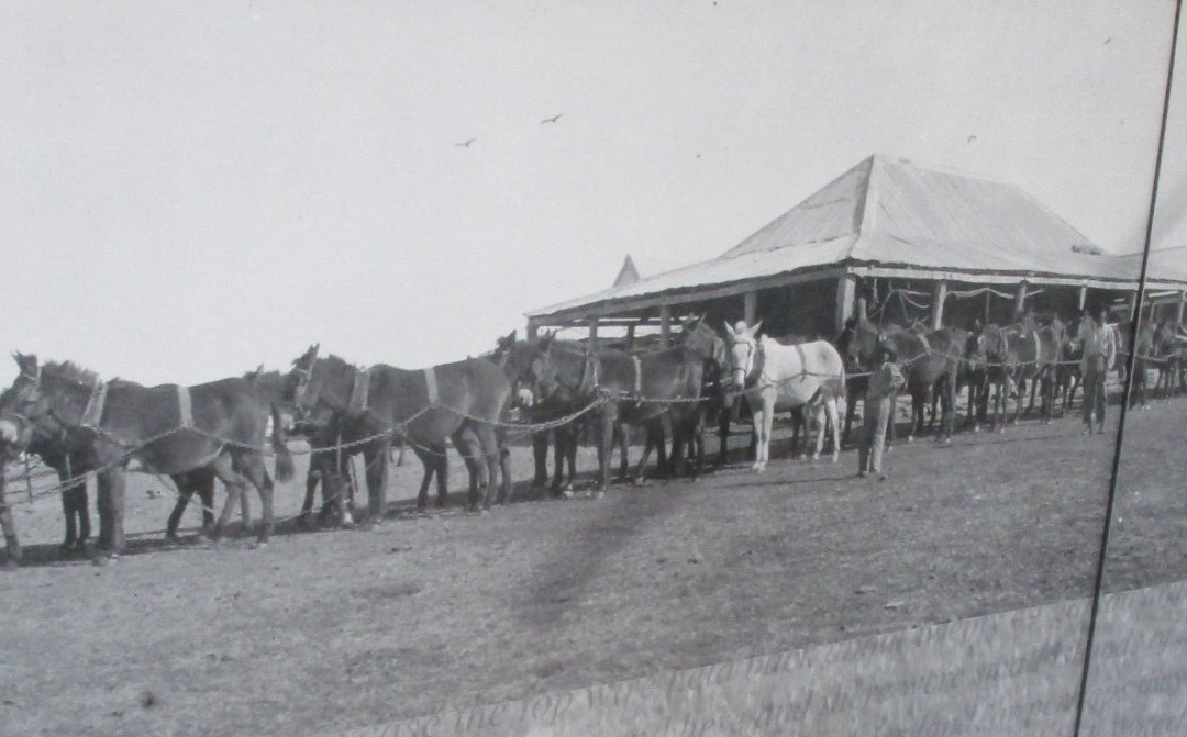 Argyle Homestead Museum景点图片