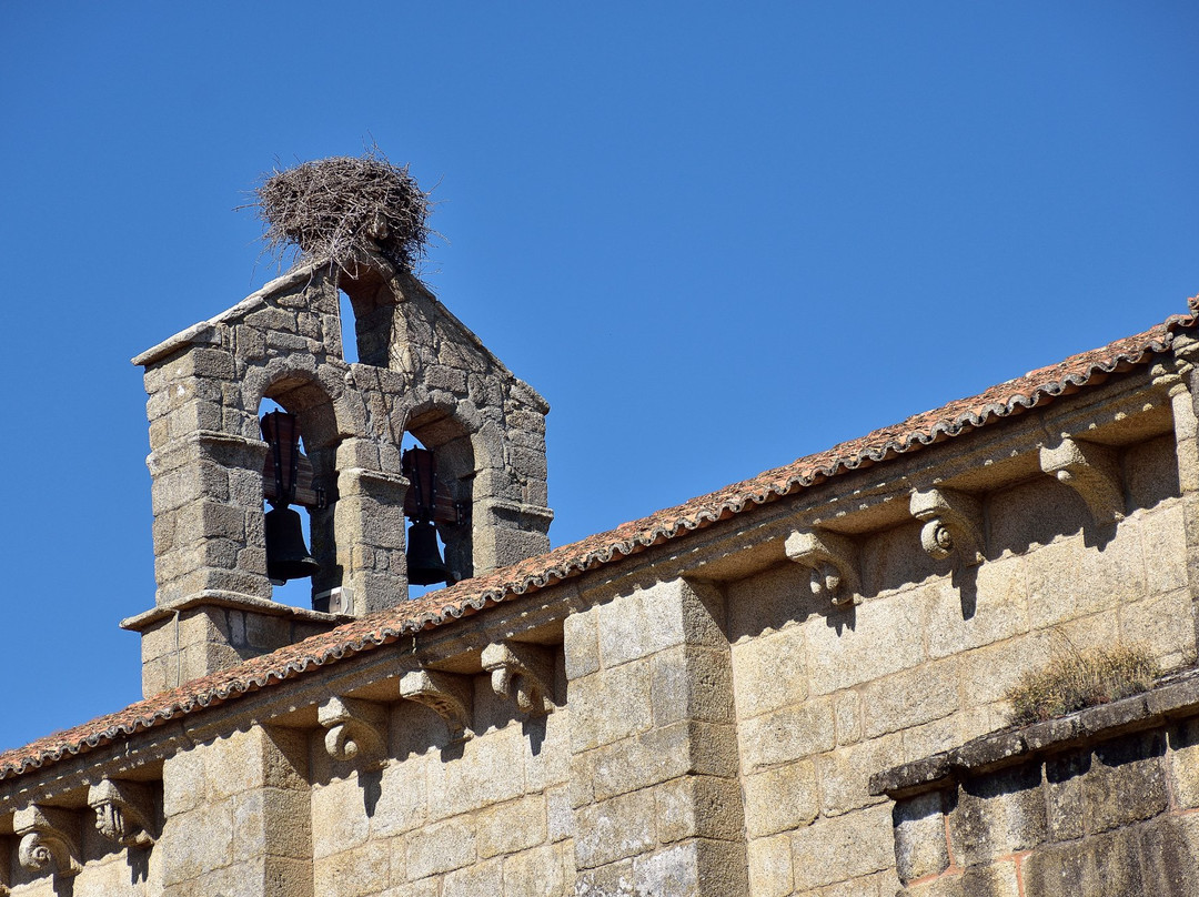 Monasterio Cisterciense del Divino Salvador景点图片