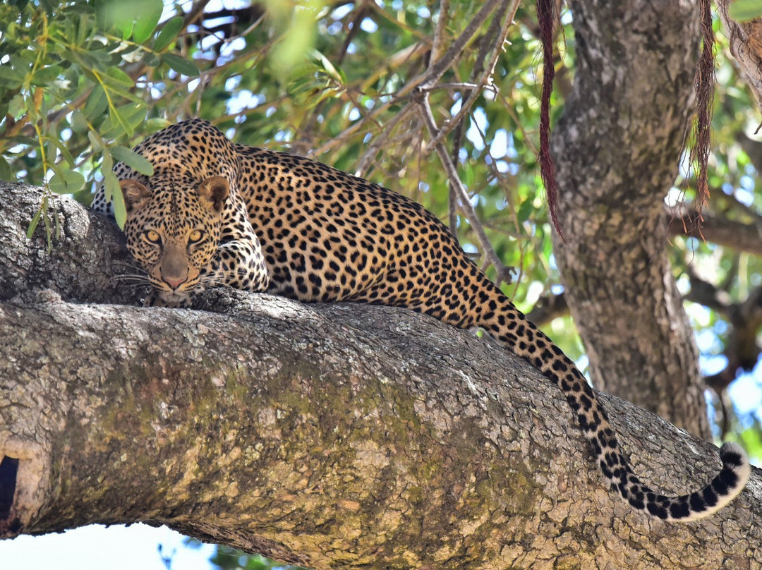 Grassrootz Adventures Uganda-坎帕拉必去景点