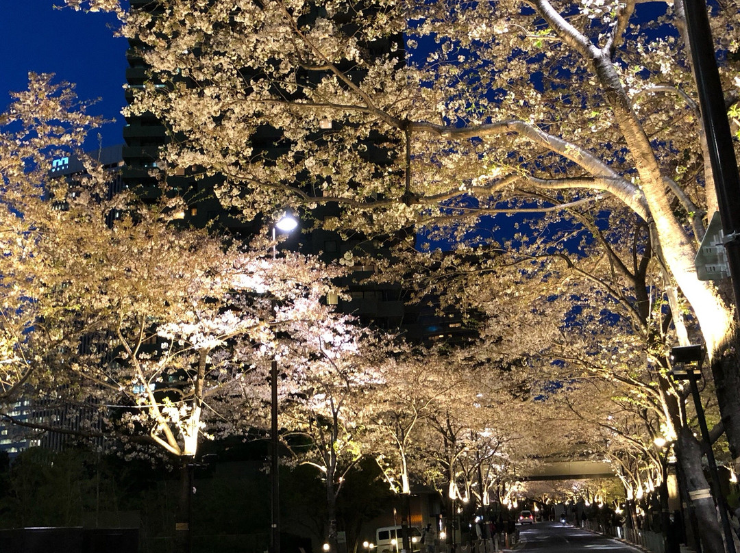 Spain-zaka-Roppongi必去景点