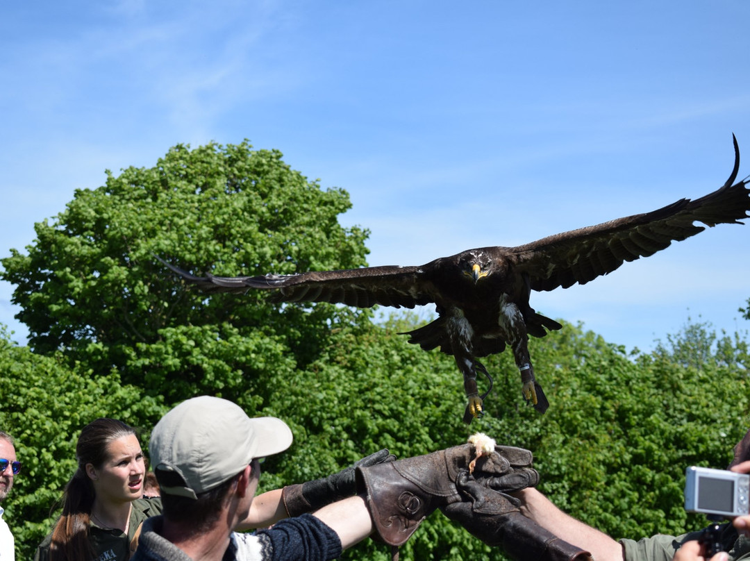Texel Zoo-特塞尔必去景点
