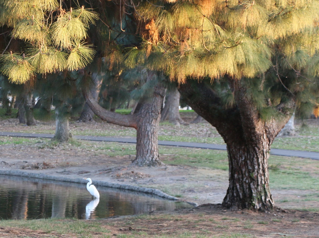 Yorba Regional Park-阿纳海姆必去景点