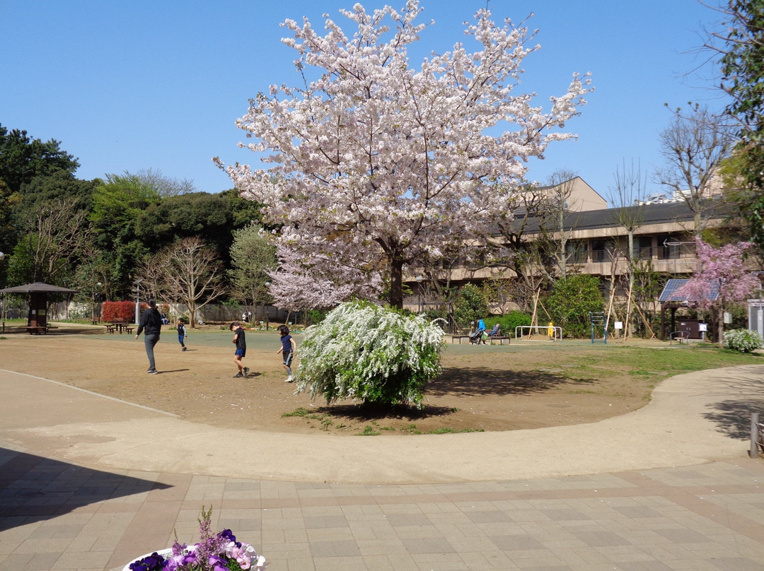 Shirokanedai Donguri Children's Park景点图片