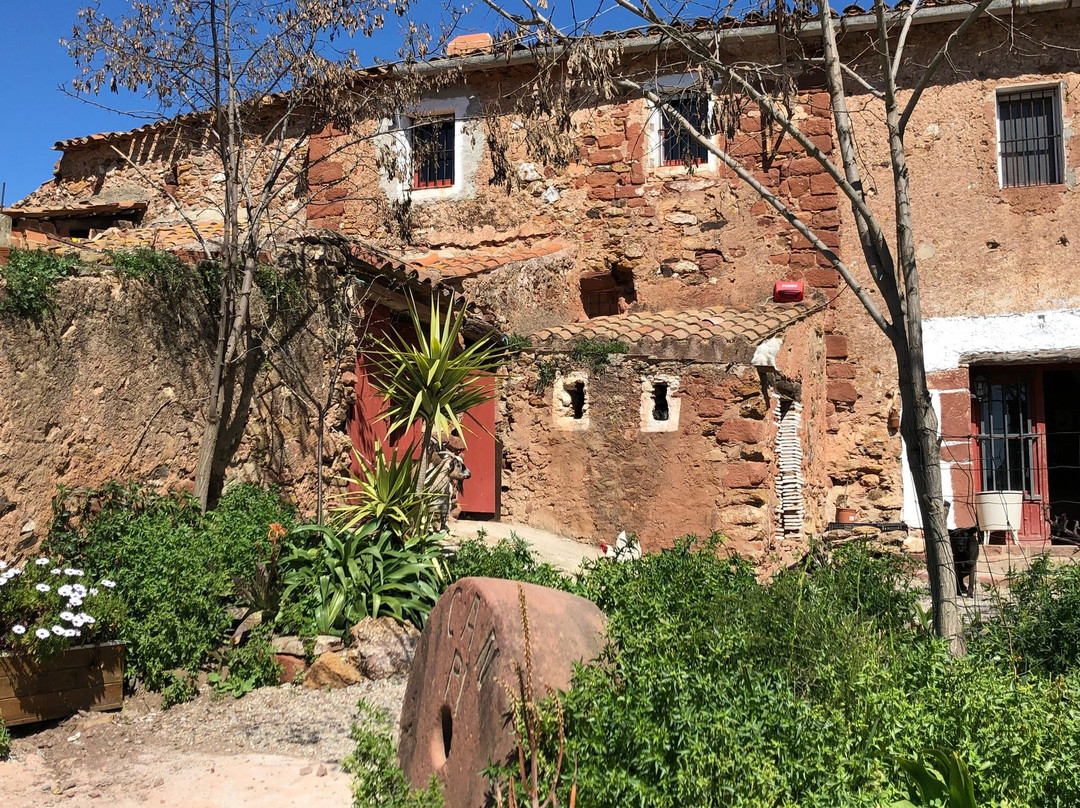 Bodega Sirot-托雷利亚斯-德略布雷加特必去景点