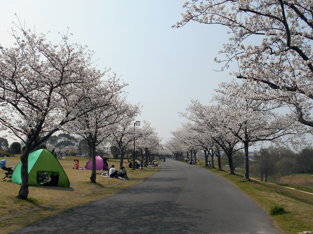 Kurume Hyakunen Park景点图片