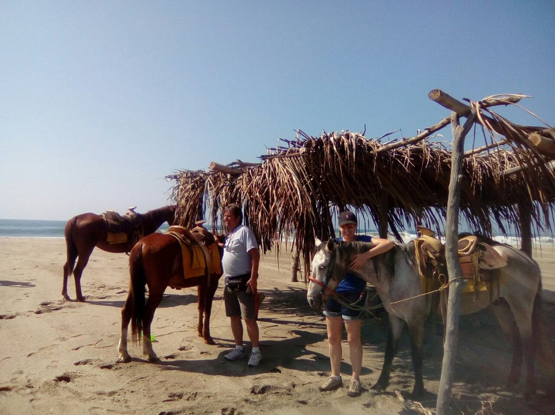 Horses Rancho Caballo De Mar景点图片