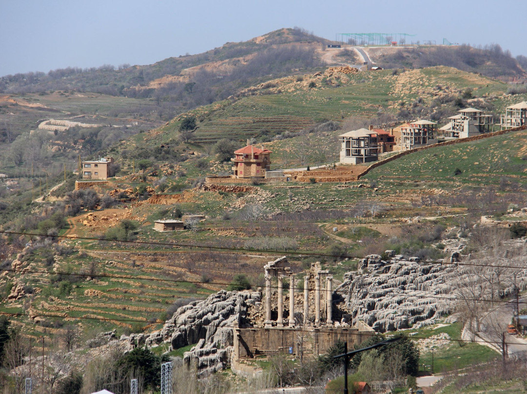 Massaya Winery景点图片