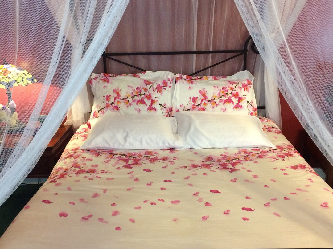 Paradise Inn B&B主图