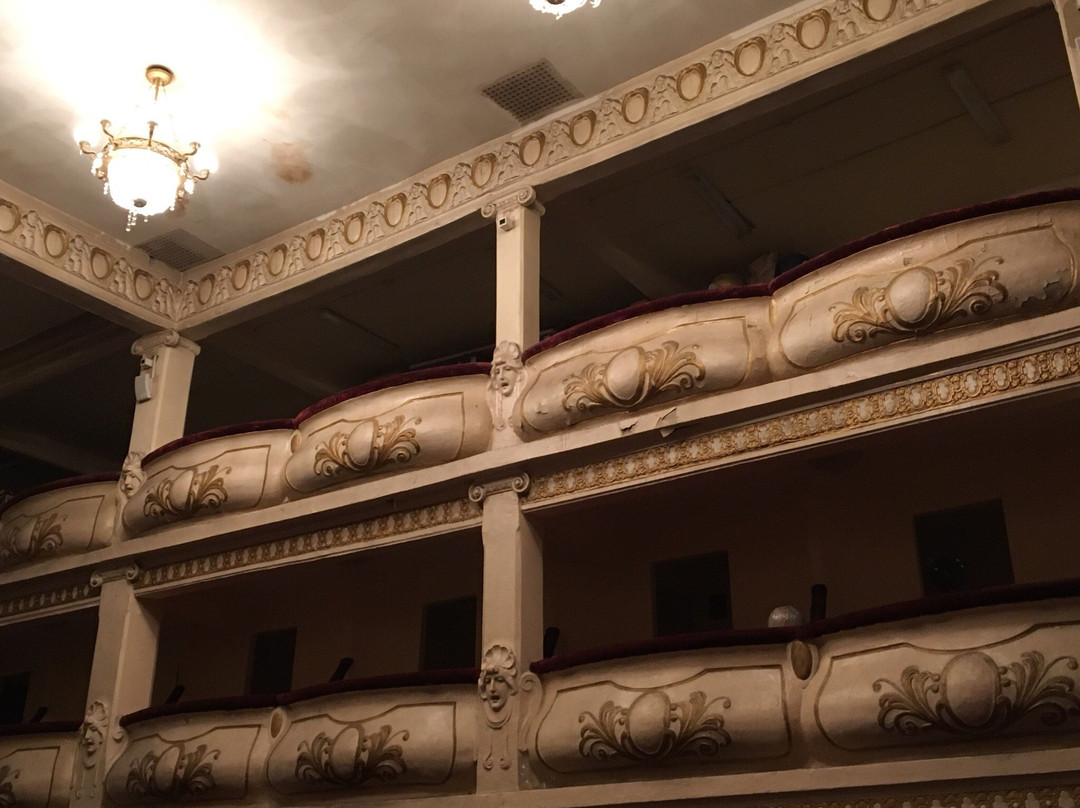 Primorskiy Regional Puppet Theater-海参崴必去景点