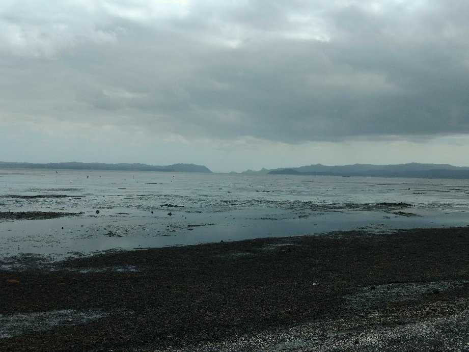 Otuataua Stonefields Reserve-曼格雷必去景点