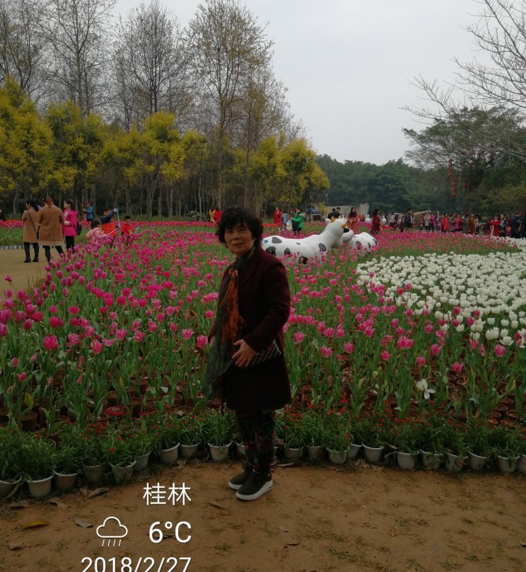 开源森林公园-漯河市必去景点