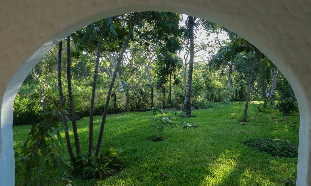 Pinewood Beach Resort and Spa主图