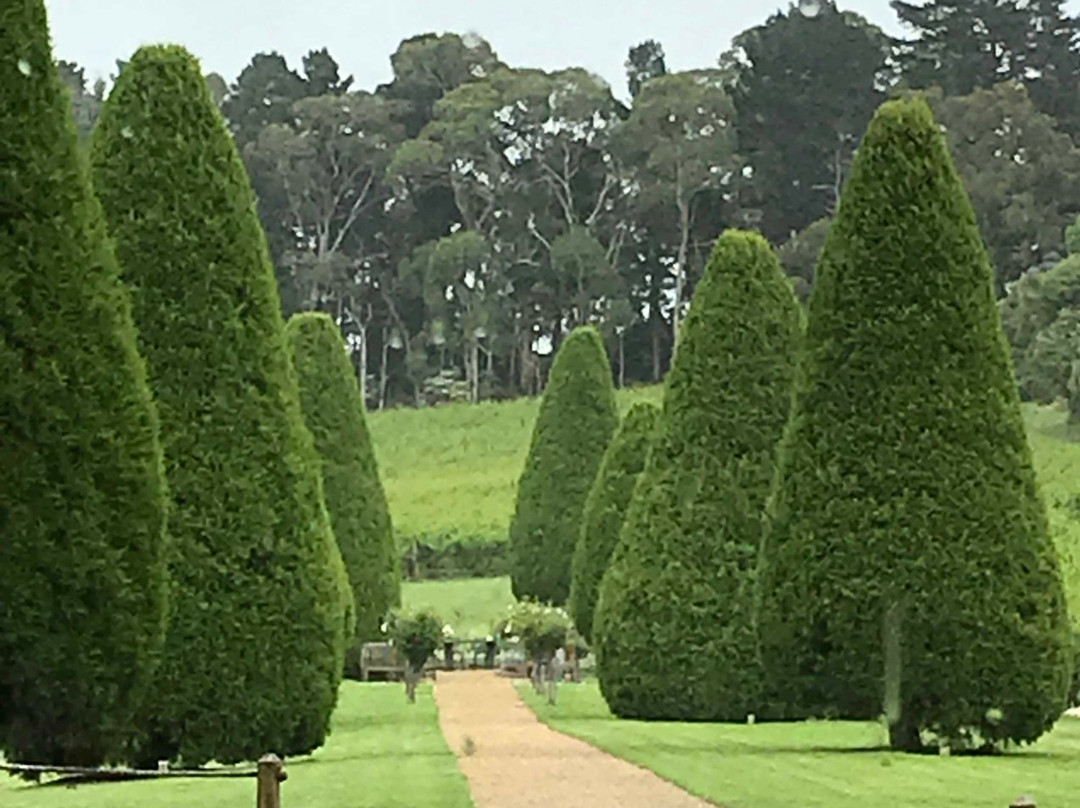 林登德雷红山酒店主图