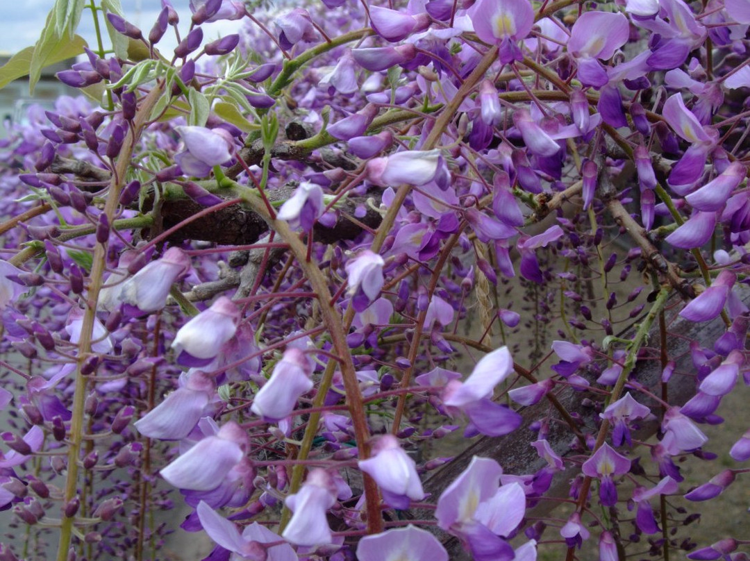 Toba Water Environmental Conservation Center-京都市必去景点