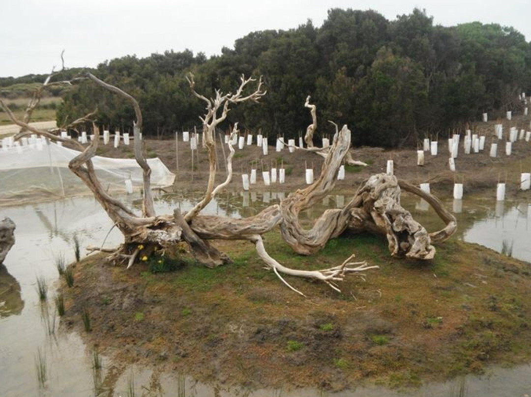 Scenic Estate Conservation Reserve-菲利普岛必去景点