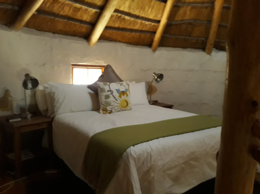 Bingelela Lodge主图