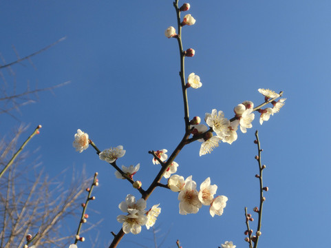康健园-上海市必去景点