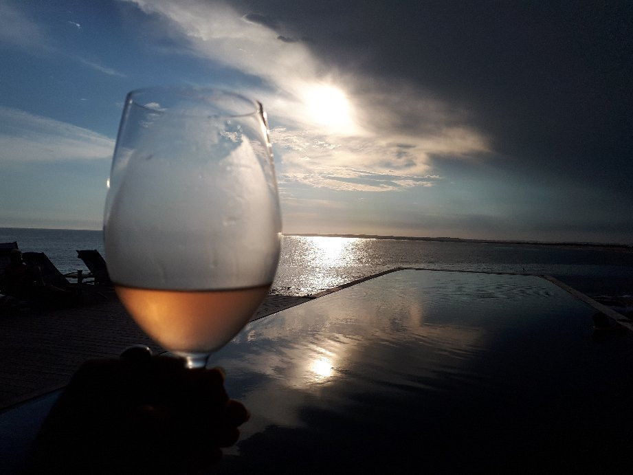 The Wine Experience-Jose Ignacio必去景点