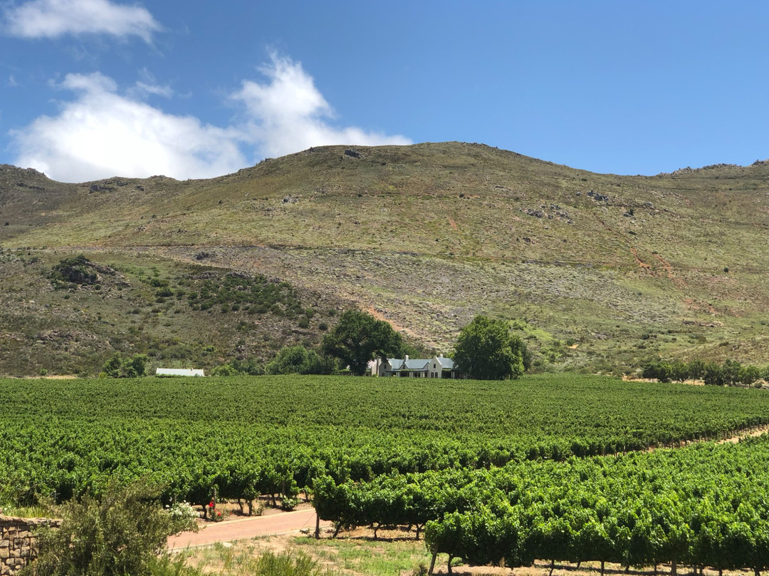 South Hill Vineyards - Elgin Western Cape景点图片