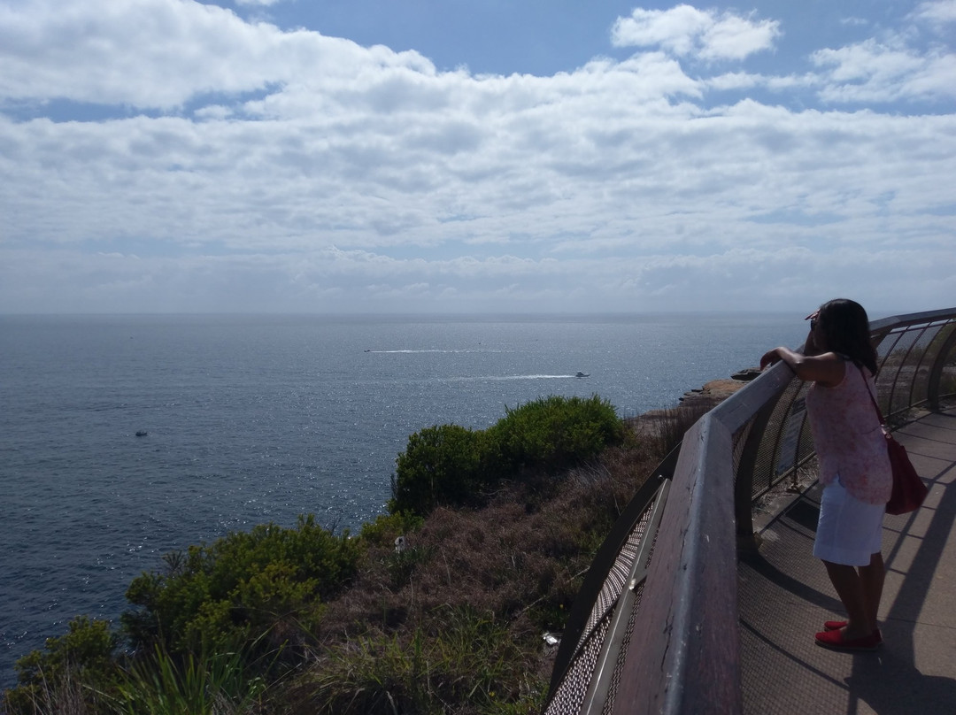 South Head-悉尼必去景点