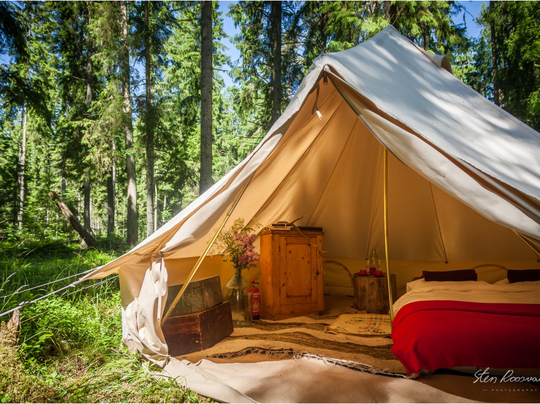 Projekt-Kodu Retreat & Eco-Hostel