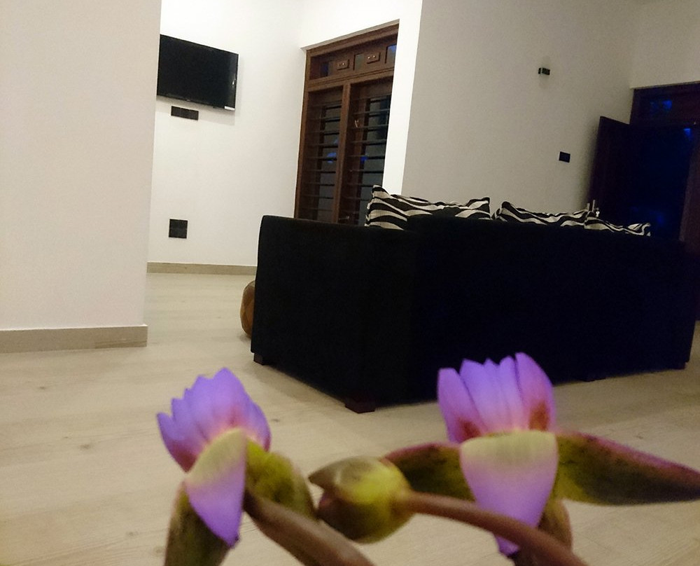 Aurora Four Seasons Villa & Spa主图