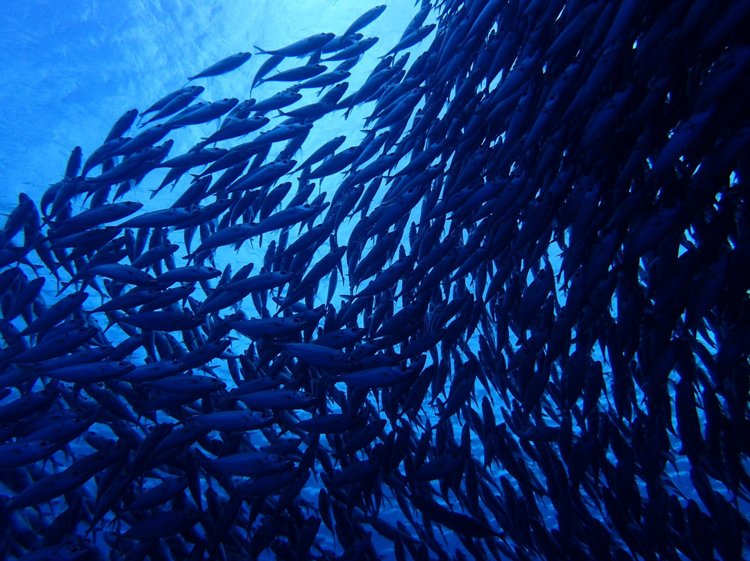 Lau Lau Beach-塞班岛必去景点