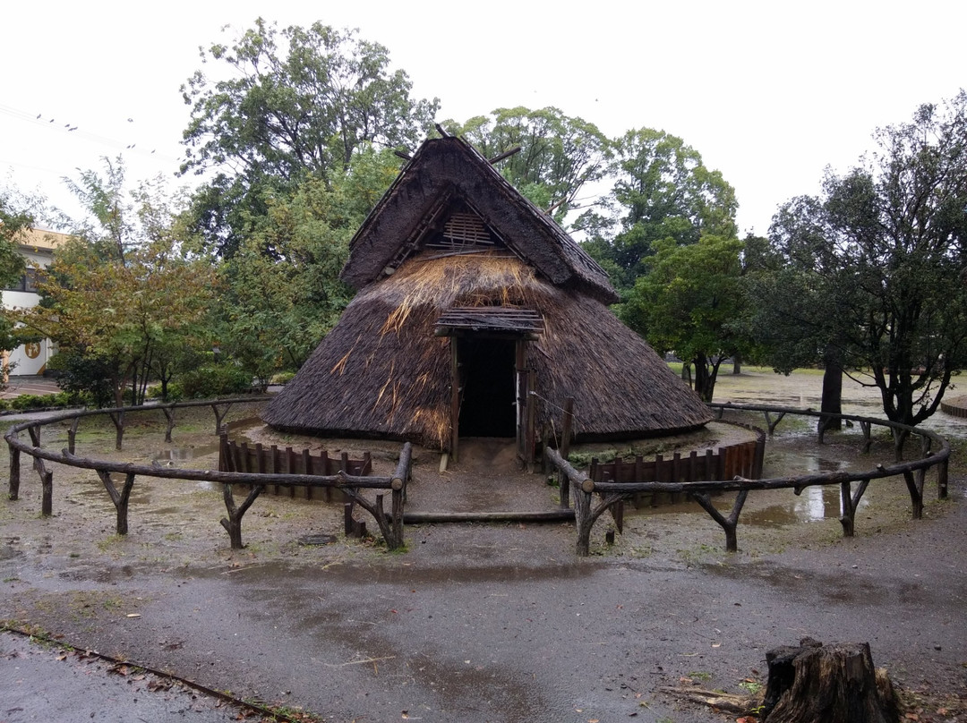 Shizuoka City Serizawa Keisuke Art Museum景点图片