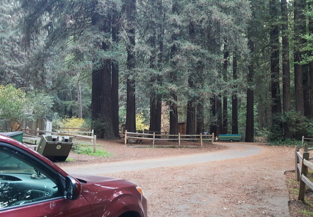 Samuel P. Taylor State Park景点图片
