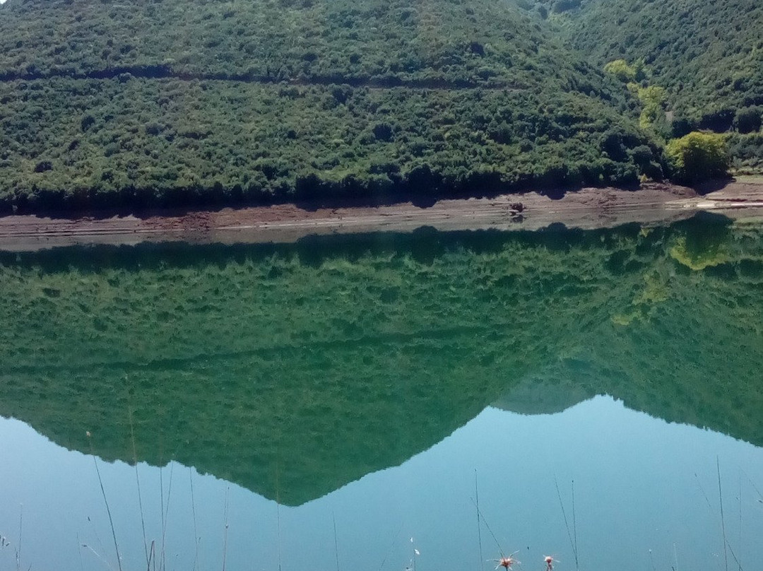 Theoni's House主图