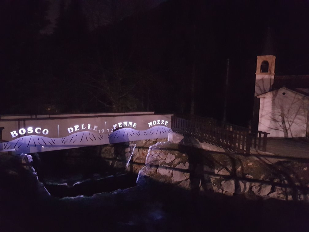 Bosco delle Penne Mozze景点图片