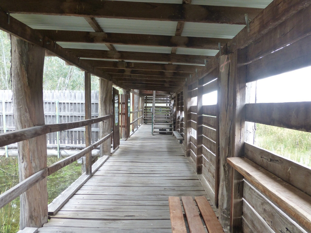 Murray Valley National Park-Mathoura必去景点