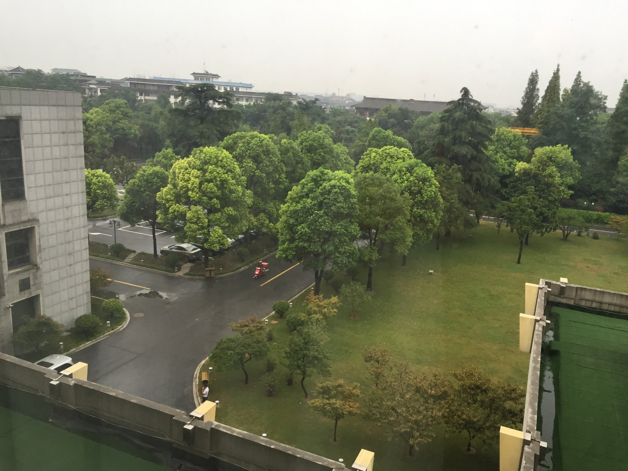 扬州西园饭店-酒店景观