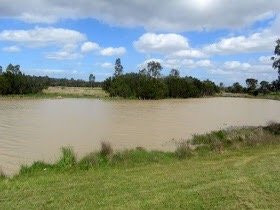 Dandenong Wetlands景点图片