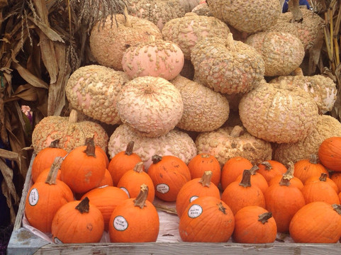 Tacoma Boys-塔科马必去景点